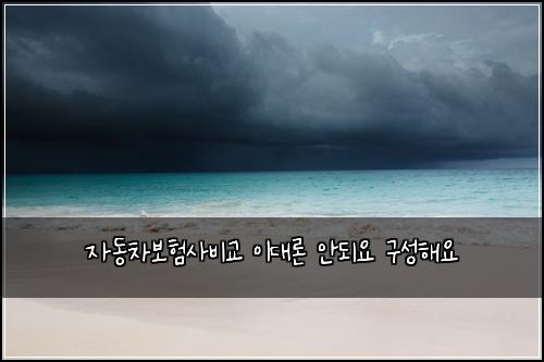 자동차보험사비교 이대론 안되요 구성해요
