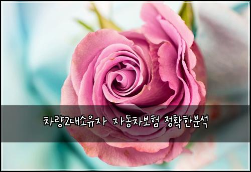 차량2대소유자 자동차보험 정확한분석 