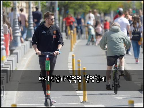 태아보험가격적정 결정쉽게