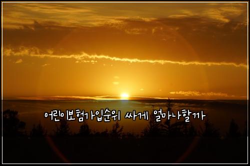 어린이보험가입순위 싸게 얼마나할까