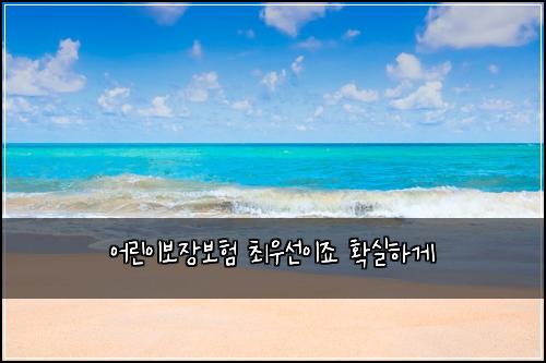 어린이보장보험 최우선이죠  확실하게