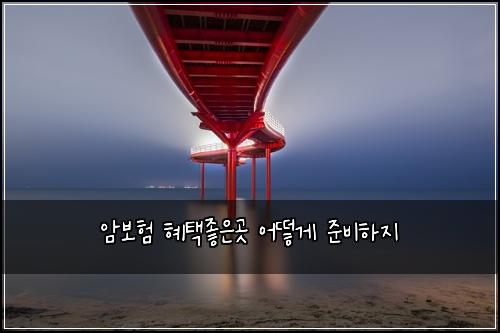암보험 혜택좋은곳  어떻게 준비하지