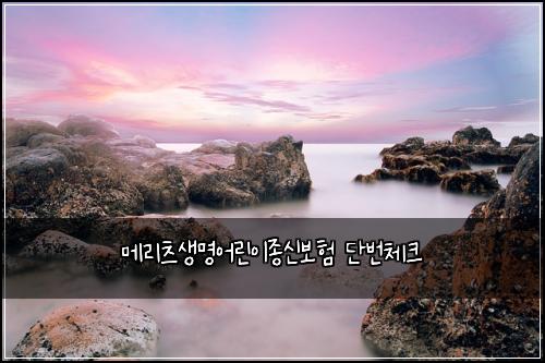 메리츠생명어린이종신보험 단번체크 
