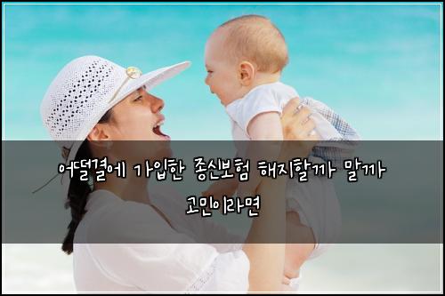 어떨결에 가입한 종신보험 해지할까 말까 고민이라면
