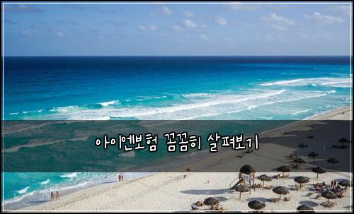 아이엔보험 꼼꼼히 살펴보기