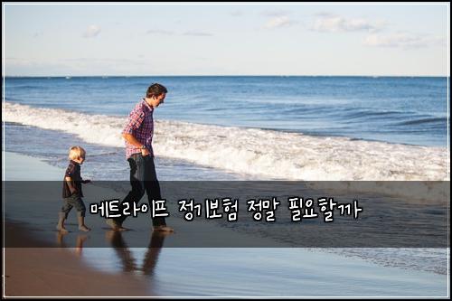 메트라이프 정기보험 정말 필요할까