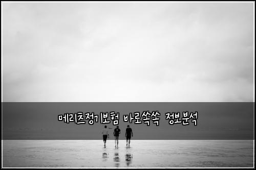메리츠정기보험 바로쏙쏙  정보분석