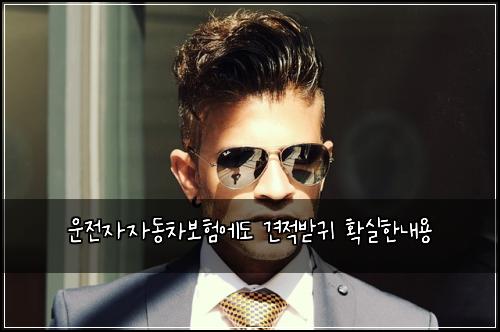운전자자동차보험에도 견적받귀 확실한내용
