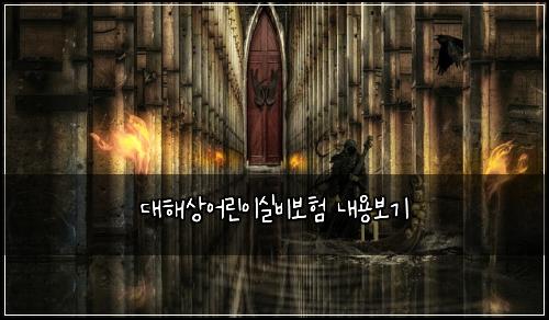 ๋ํด์์ด๋ฆฐ์ด์ค๋น๋ณดํ ๋ด์ฉ๋ณด๊ธฐ