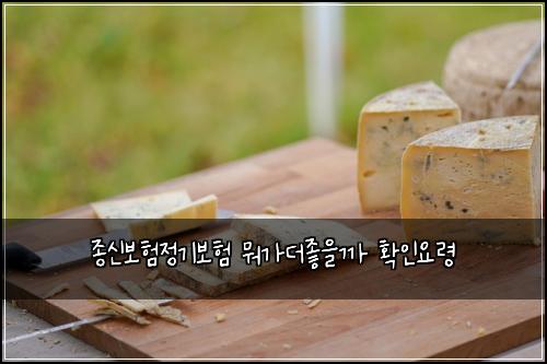 ์ข
์ ๋ณดํ์ ๊ธฐ๋ณดํ ๋ญ๊ฐ๋์ข์๊น ํ์ธ์๋ น