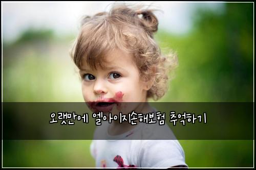 오랫만에 엘아이지손해보험 추억하기