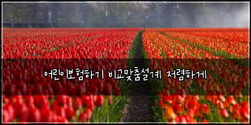 어린이보험하기 비교맞춤설계 저렴하게