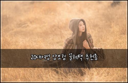20๋์ฌ์ฑ ์๋ณดํ ๊ฟํํ ์ถ์ฒ์ข