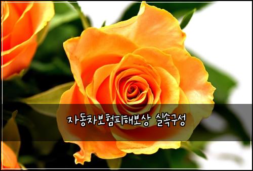์๋์ฐจ๋ณดํํผํด๋ณด์ ์ค์๊ตฌ์ฑ