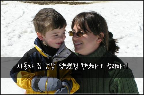 자동차 집 건강 생명보험 현명하게 정리하기