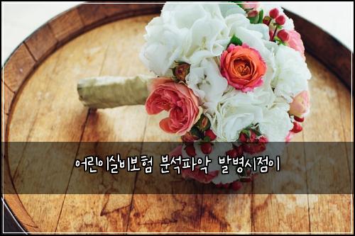 어린이실비보험 분석파악  발병시점이