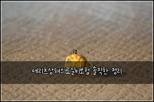 메리츠상해의료실비보험 솔직한 정리