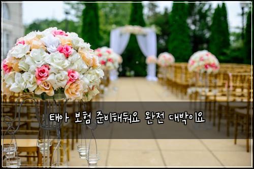 태아 보험 준비해둬요  완전 대박이요