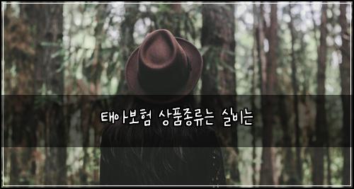 태아보험 상품종류는  실비는