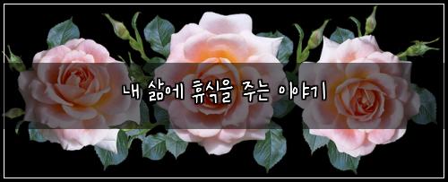 내 삶에 휴식을 주는 이야기
