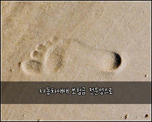 ์๋์ฐจ๋งค๋งค ๋ณดํ๊ธ ์ ๋ฌธ์ฑ์ผ๋ก