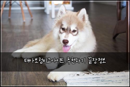 ํ์๋ณดํ๋น๊ต์ฌ์ดํธ ์ถ์ฒํ๊ธฐ ๋์ฅ์ ๋ณด
