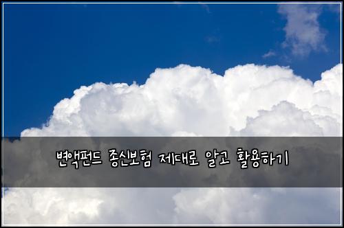 변액펀드 종신보험 제대로 알고 활용하기