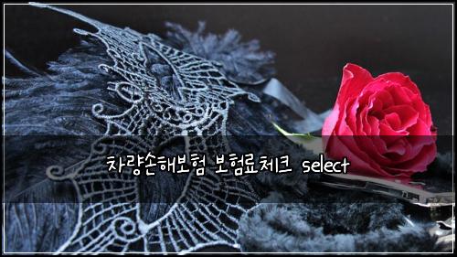 차량손해보험 보험료체크  select