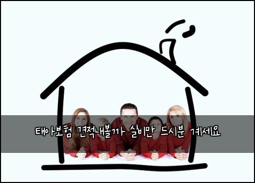 ํ์๋ณดํ ๊ฒฌ์ ๋ด๋ณผ๊น ์ค๋น๋ง ๋์๋ถ ๊ณ์ธ์