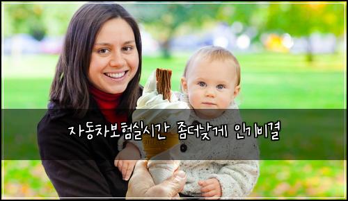 자동차보험실시간 좀더낮게 인기비결