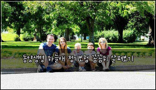 동양생명 하늘애 정기보험 꼼꼼히 살펴보기