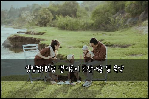 생명정기보험 빨리준비  보장내용 및 특약