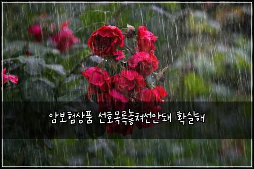 암보험상품 선호목록놓쳐선안돼 확실해