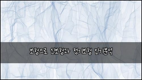 보험으로 신보험과 정기보험 인기분석