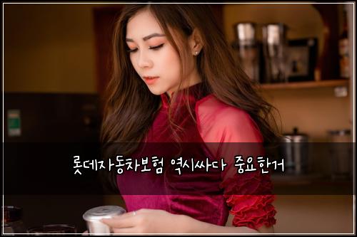 롯데자동차보험 역시싸다  중요한거