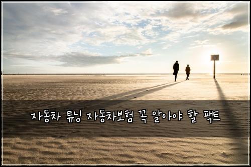 자동차 튜닝 자동차보험 꼭 알아야 할 팩트