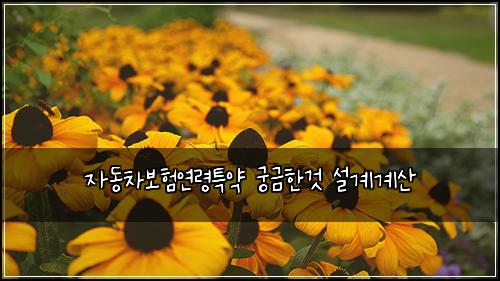자동차보험연령특약 궁금한것 설계계산