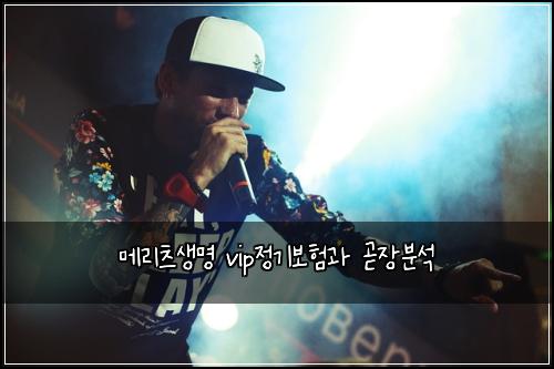 메리츠생명 vip정기보험과 곧장분석