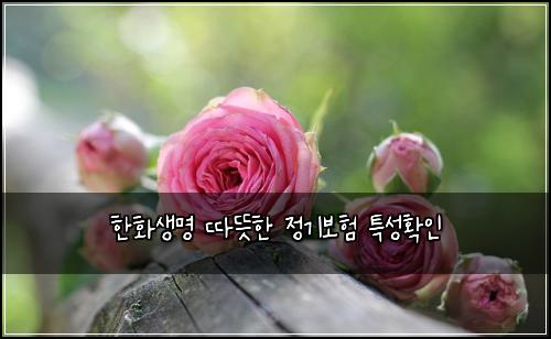 ํํ์๋ช
๋ฐ๋ปํ ์ ๊ธฐ๋ณดํ ํน์ฑํ์ธ