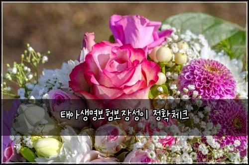 태아생명보험보장성이 정확체크