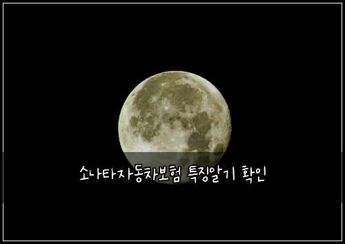 ์๋ํ์๋์ฐจ๋ณดํ ํน์ง์๊ธฐ ํ์ธ