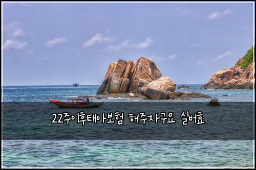 22주이후태아보험 해주자구요  실버효