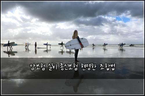 암보험 실비 종신보험 현명한 조합법