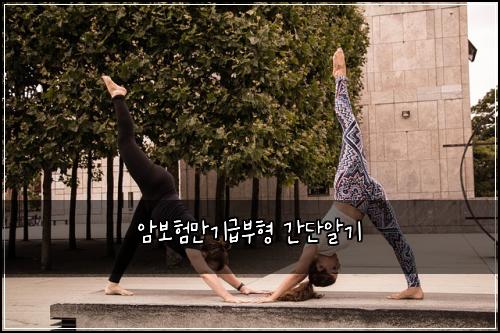 암보험만기급부형 간단알기