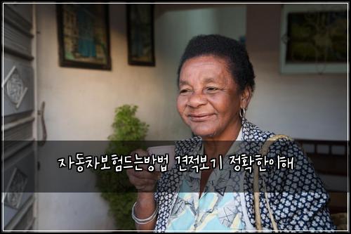 자동차보험드는방법 견적보기 정확한이해