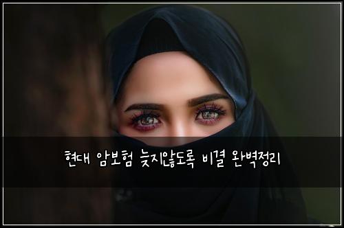 현대 암보험 늦지않도록  비결 완벽정리