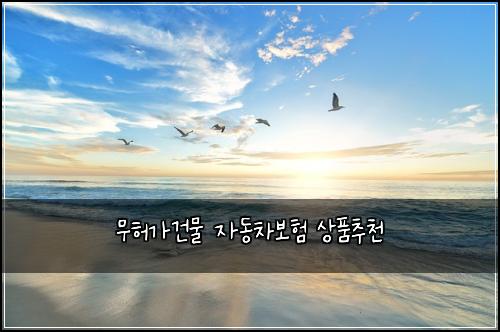 ๋ฌดํ๊ฐ๊ฑด๋ฌผ ์๋์ฐจ๋ณดํ ์ํ์ถ์ฒ