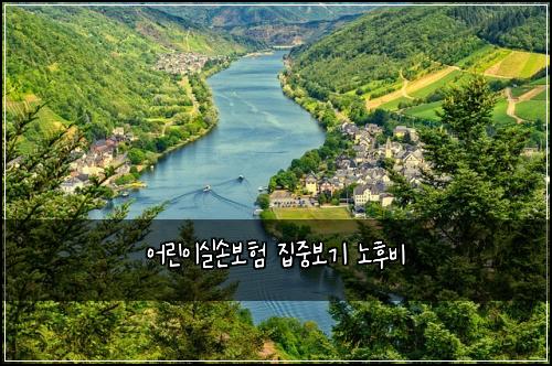 어린이실손보험 집중보기  노후비