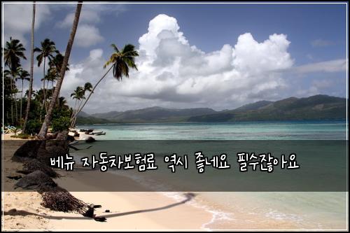 ๋ฒ ๋ด ์๋์ฐจ๋ณดํ๋ฃ ์ญ์ ์ข๋ค์ ํ์์์์