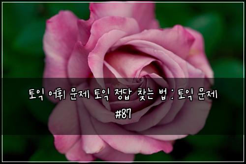 토익 어휘 문제 토익 정답 찾는 법 : 토익 문제 #87